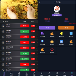 新框架/全新修复版微交易系统/虚拟币理财系统/微盘交易系统/K线正常