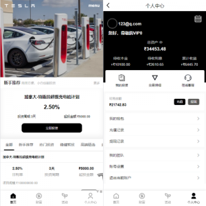 新版海外特斯拉投资系统/多语言投资理财/前端vue